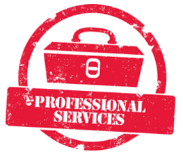 HR professional services